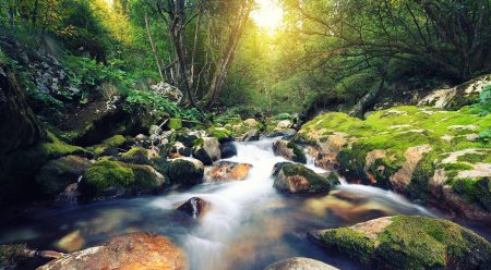 Our church is a place to be refreshed by Living Waters